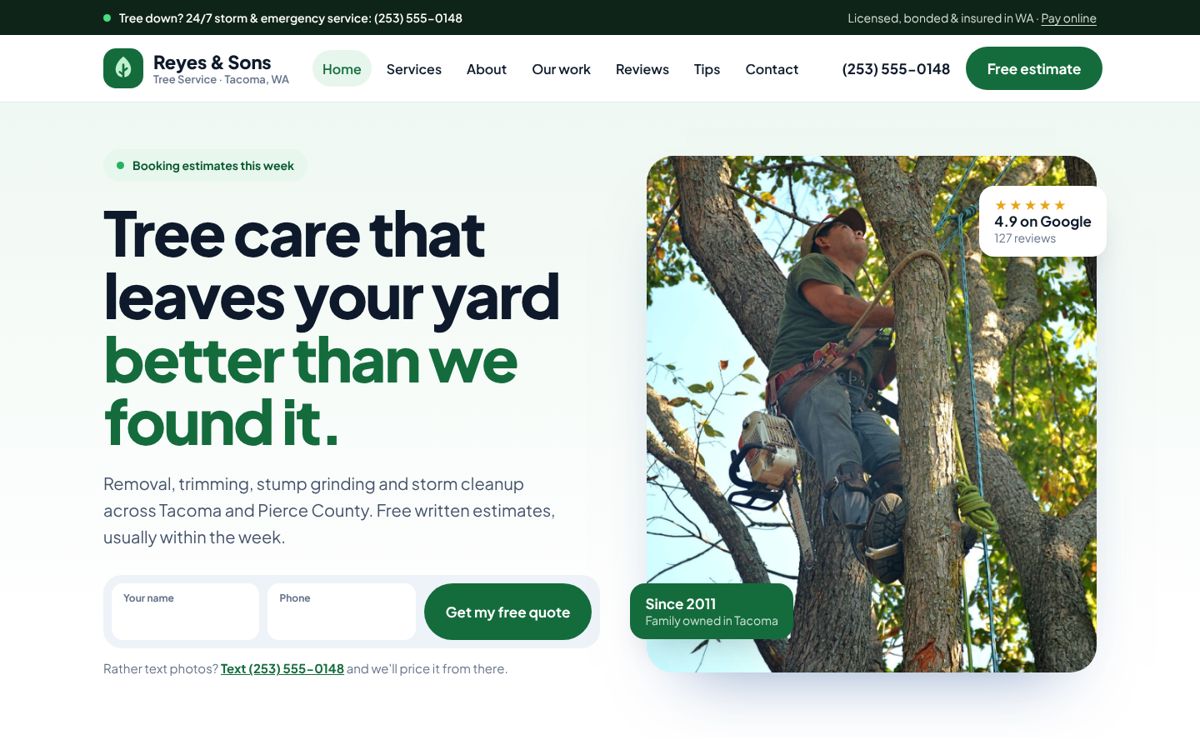 Reyes & Sons, clean look homepage